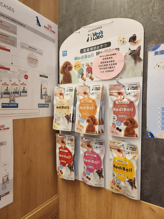 Vet's Labo 創辦人與獸醫團隊親訪香港及澳門，深入考察當地獸醫市場，攜手提升產品認受性