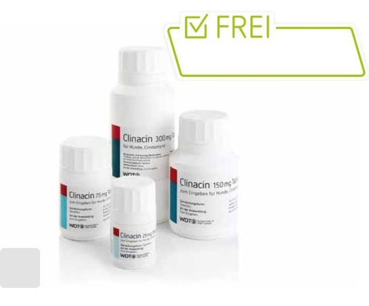 Clinacin 25 mg | 75 mg | 150 mg | 300 mg