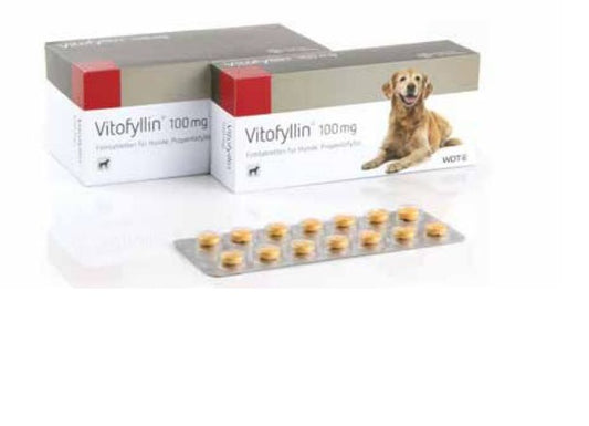 Vitofyllin 100mg