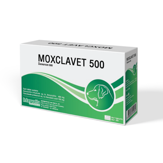 Moxclavet 500 Tablets