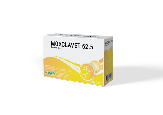 Moxclavet 62.5 Tablets